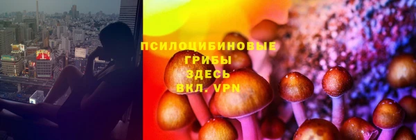кокс Абдулино