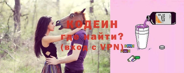 молекула духа Переславль-Залесский