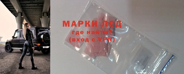 ECSTASY Пересвет