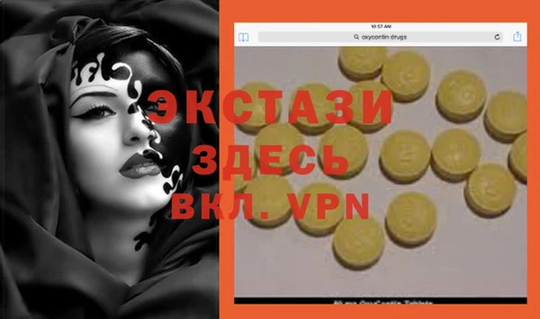 ECSTASY Пересвет