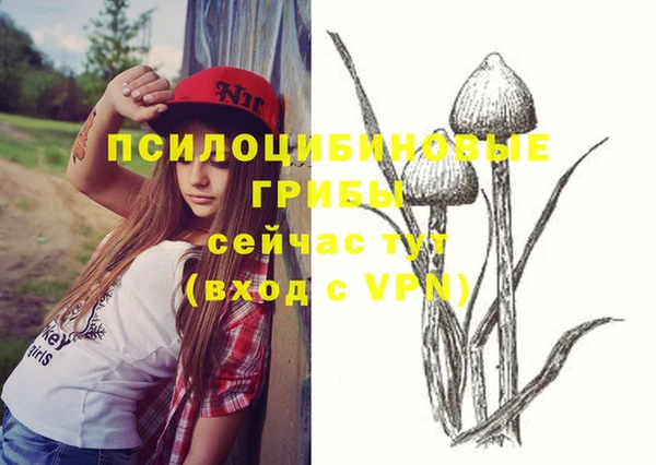 стафф Пестово