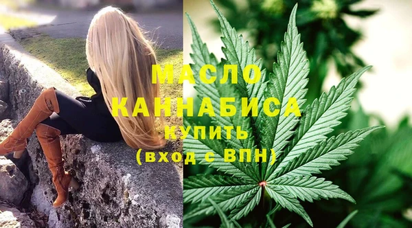 молекула духа Переславль-Залесский