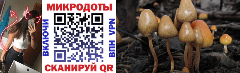mega рабочий сайт  Владикавказ  Галлюциногенные грибы мухоморы 