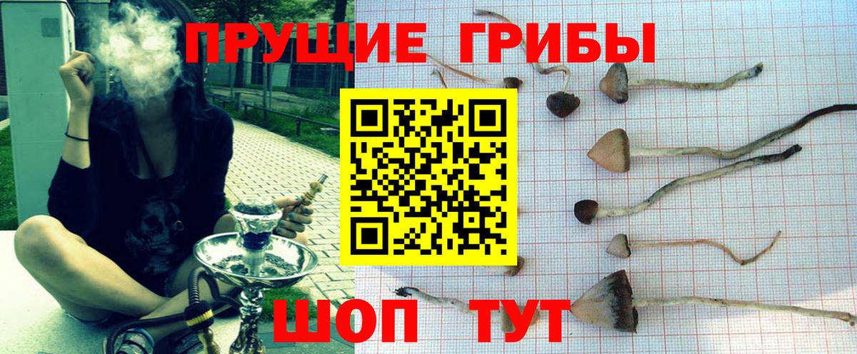 Галлюциногенные грибы прущие грибы  Галлюциногенные грибы Psilocybine cubensis  цены   Владикавказ  Вход с VPN 