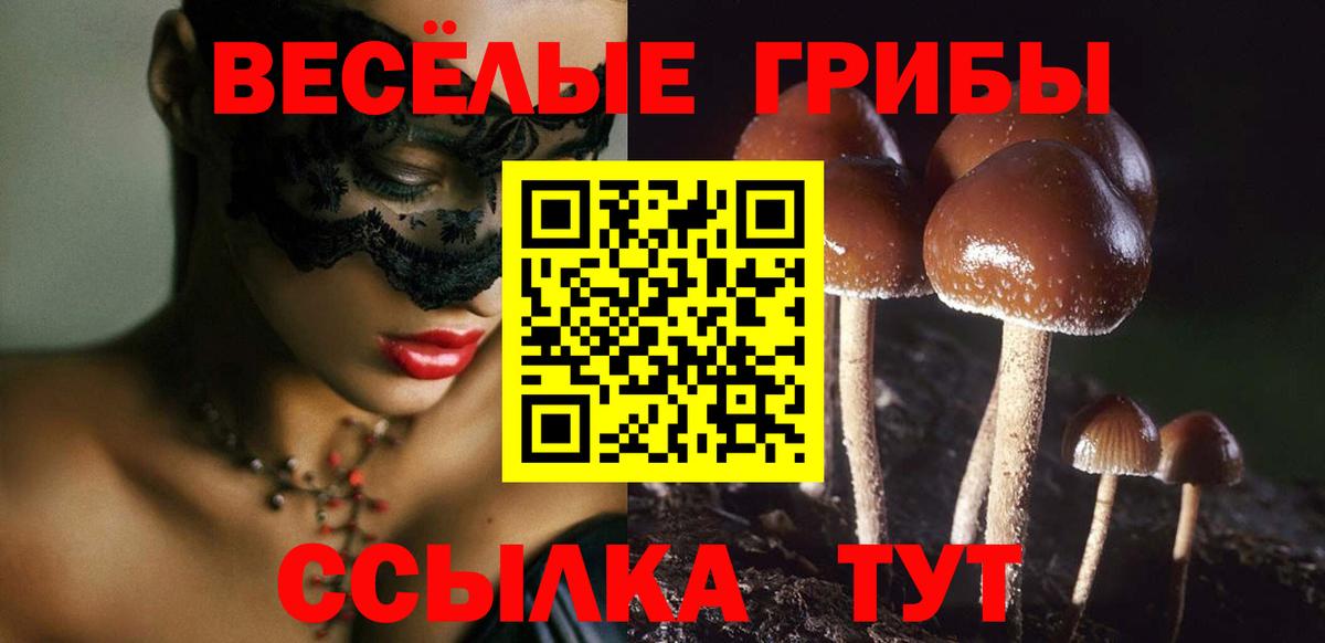 Галлюциногенные грибы ЛСД Владикавказ